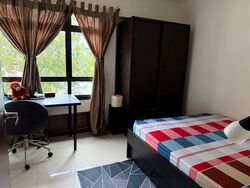 Blk 654 Senja Road (Bukit Panjang), HDB Executive #524351121